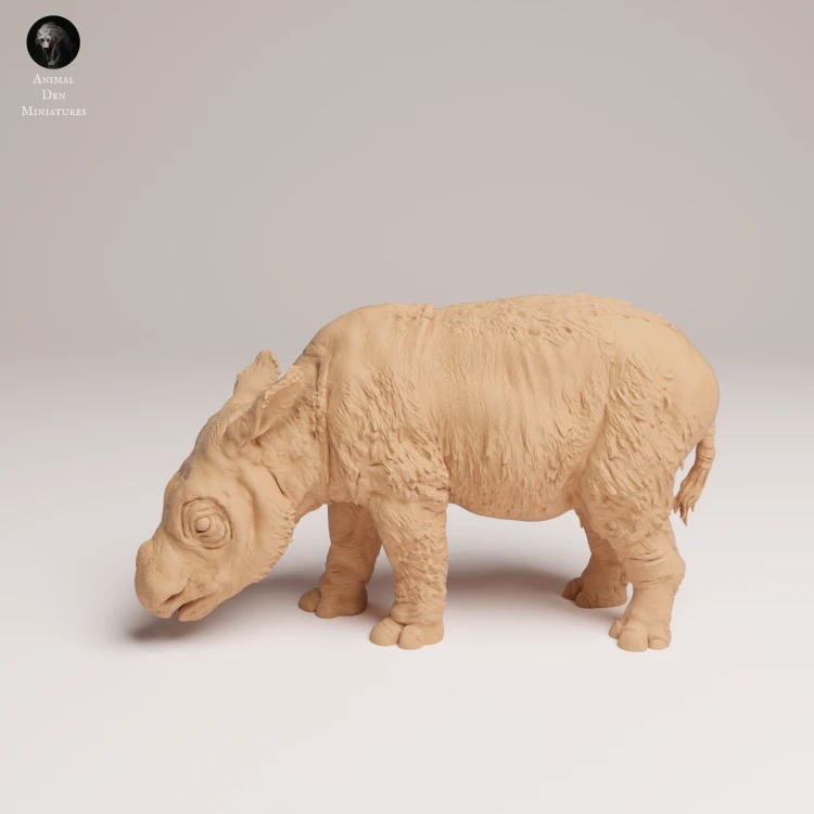 35130724_Sumatran Rhino Calf 2.png