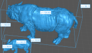 35130724_Sumatran Rhino with Calf 5.png