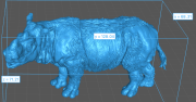 35130723_Sumatran Rhino Male 5.png