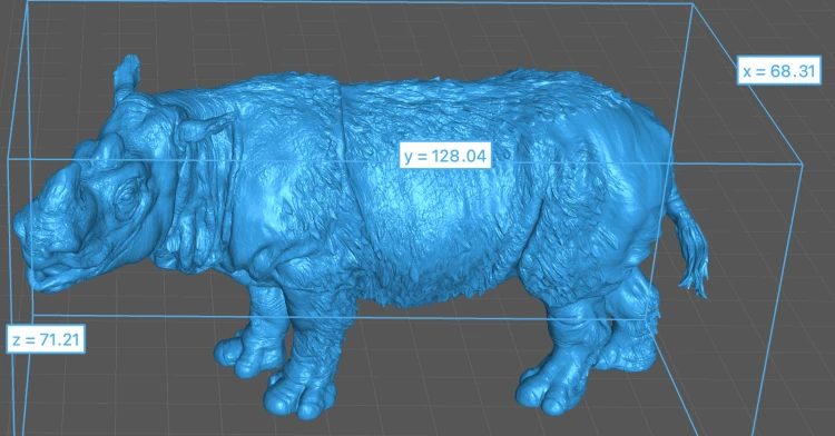 35130723_Sumatran Rhino Male 5.png