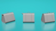 35040754_20l_triangular_fuel_can_v1_NEW_1.jpg