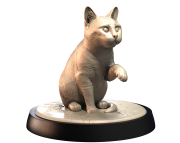 POSE_27.png