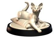 ABYSSINIAN_1.png