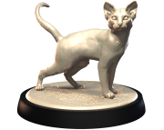 ABYSSINIAN_2.png