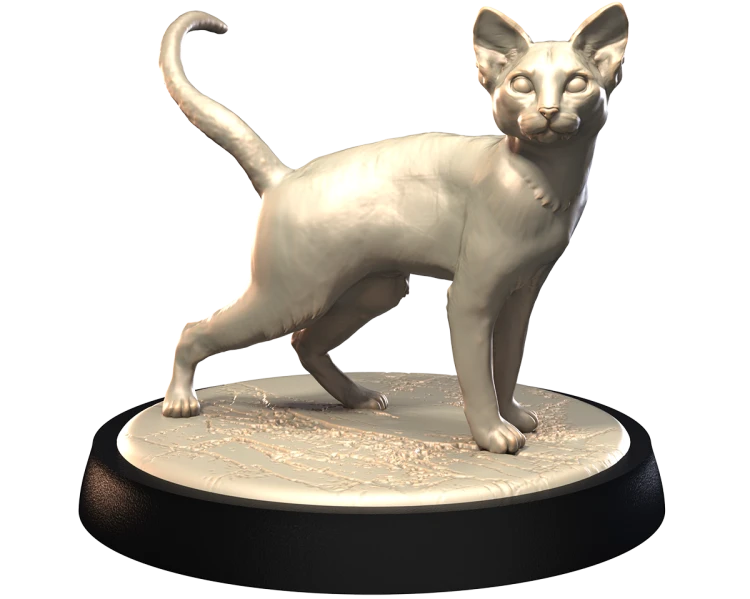 ABYSSINIAN_2.png