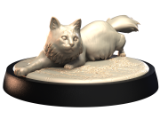 AMERICAN_BOBTAIL_2.png