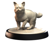 AMERICAN_SHORTHAIR_1.png