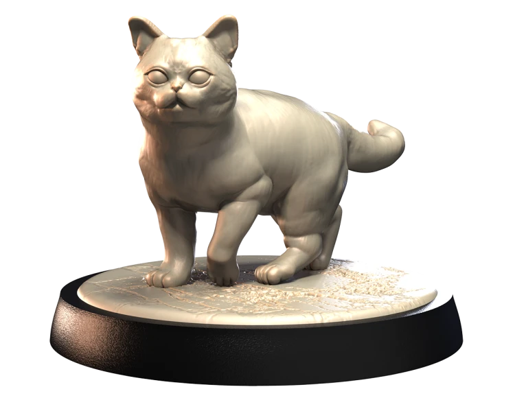 AMERICAN_SHORTHAIR_1.png