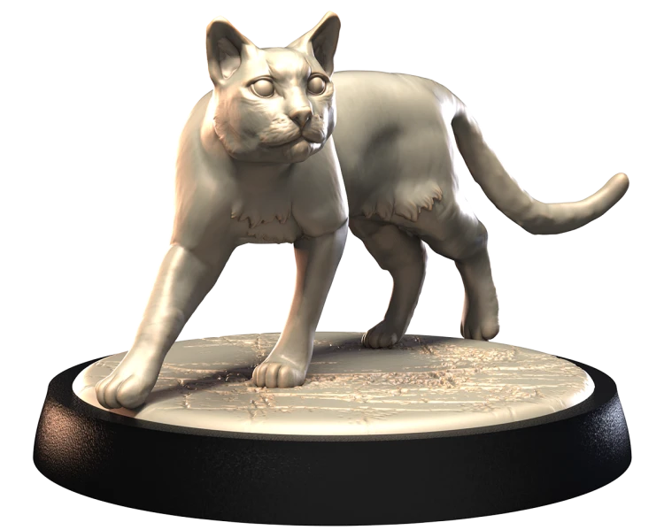BENGAL_1.png