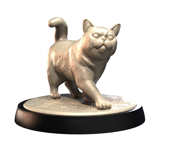 BRITISH_SHORTHAIR_2.png