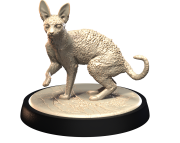 DEVON_REX_1.png