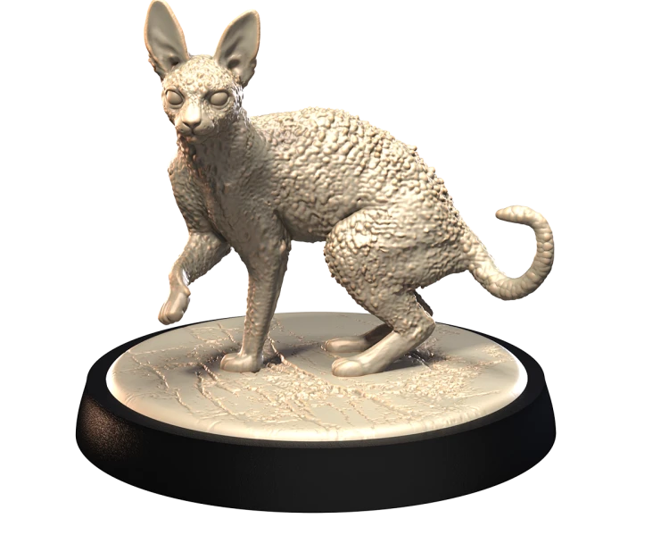 DEVON_REX_1.png