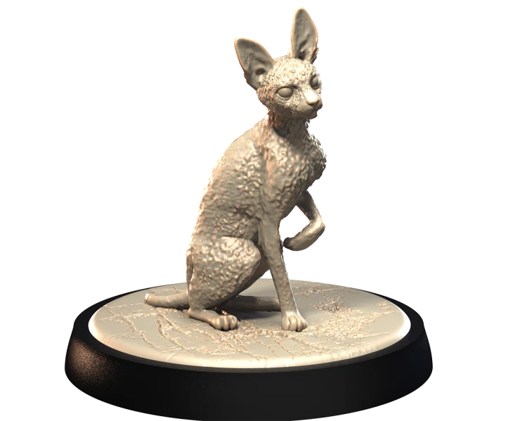 DEVON_REX_2.png