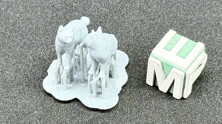 35130138.jpg