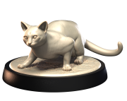OCICAT_2.png