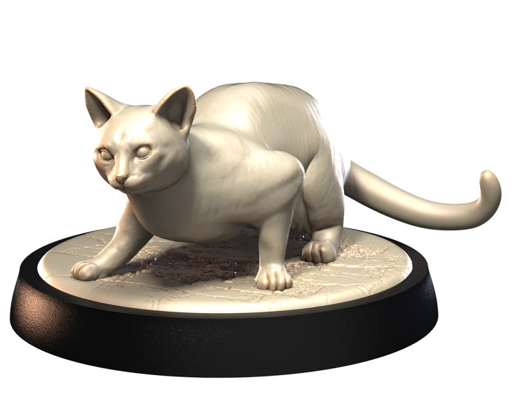 OCICAT_2.png