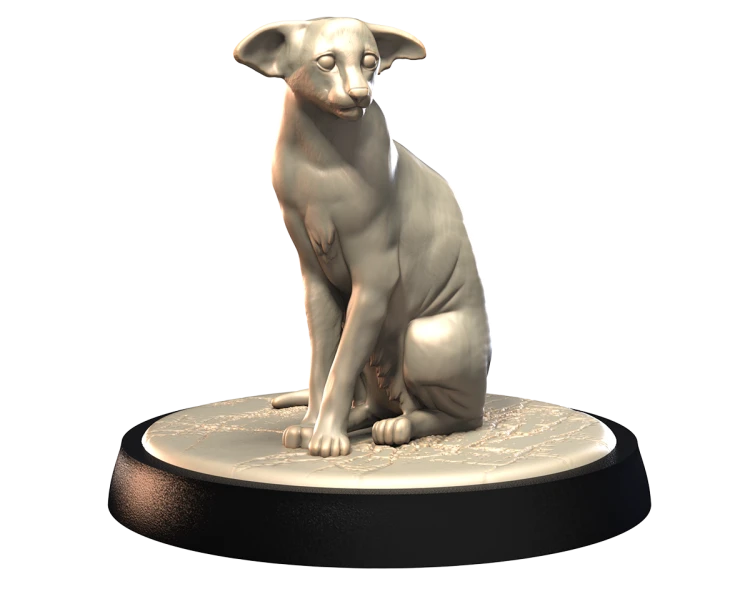 ORIENTAL_SHORTHAIR_1.png