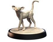 ORIENTAL_SHORTHAIR_2.png