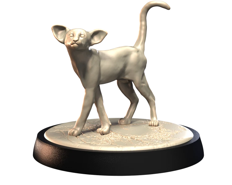ORIENTAL_SHORTHAIR_2.png