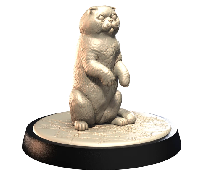 SCOTTISH_FOLD_1.png