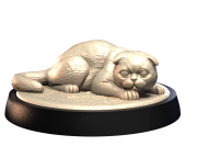 SCOTTISH_FOLD_2.png