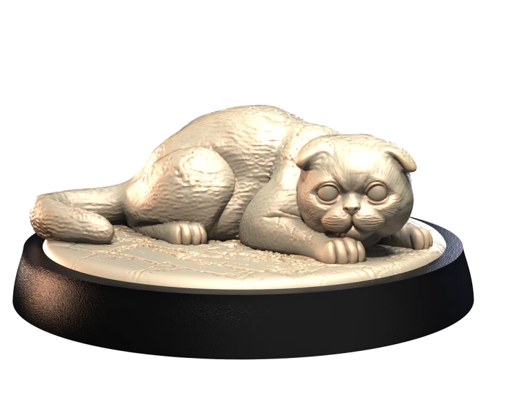SCOTTISH_FOLD_2.png