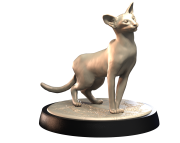 SIAMESE_1.png
