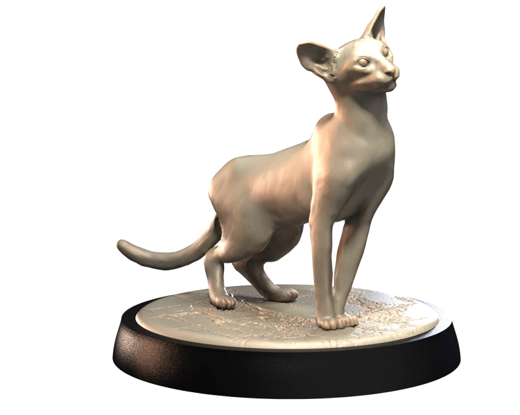 SIAMESE_1.png