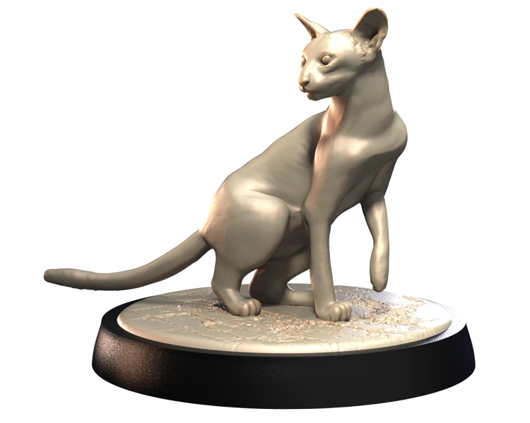 SIAMESE_2.png