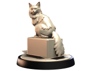 TURKISH_ANGORA_1.png