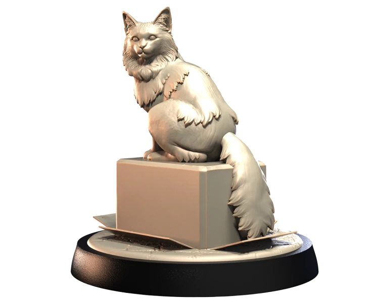 TURKISH_ANGORA_1.png