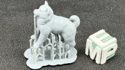 35130154_Akita American.jpg