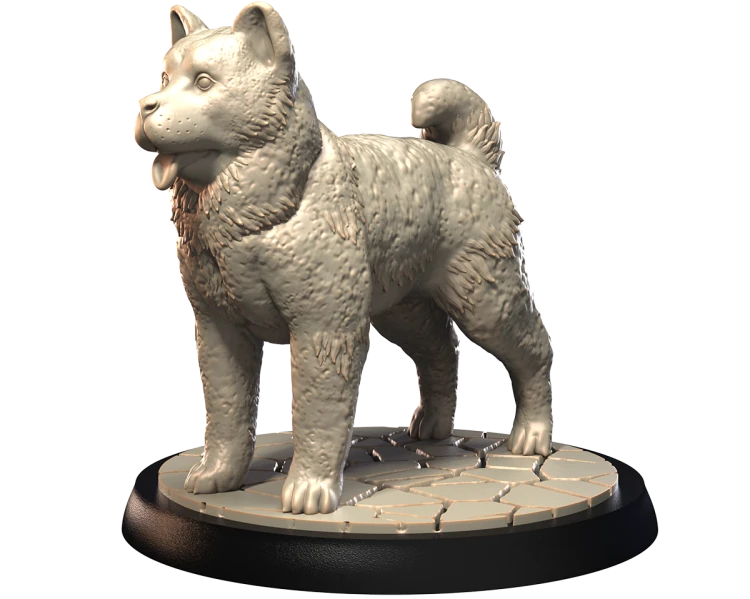 AKITA AMERICAN.png
