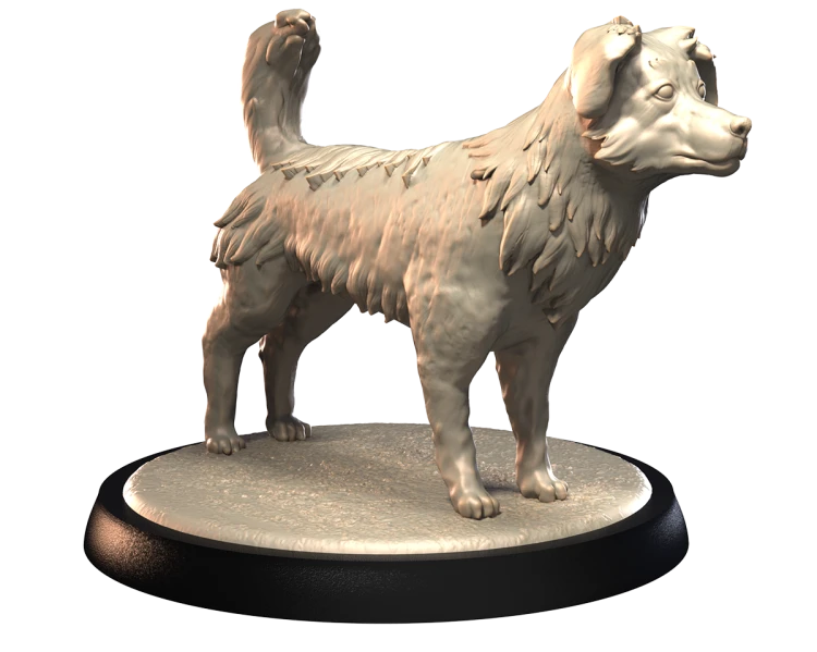 AUSTRALIAN SHEPHERD.png