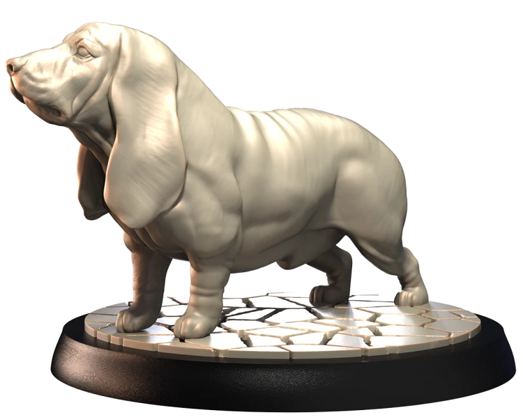 BASSET HOUND.png