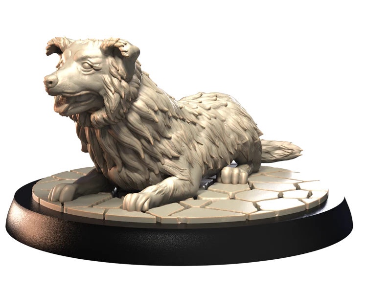 BORDER COLLIE.png