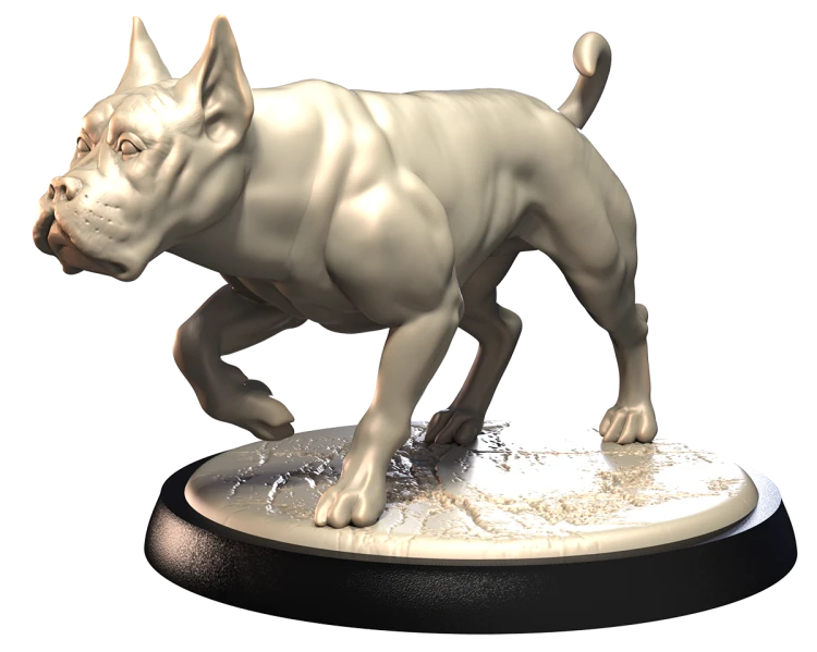 BOXER.png