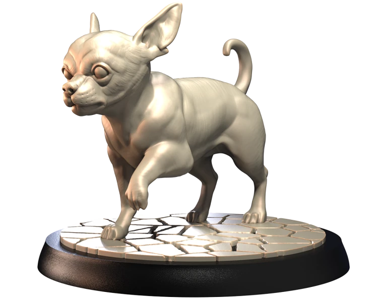 CHIHUAHUA.png