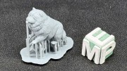 35130166_Chow Chow.jpg