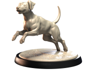 DALMATIAN.png