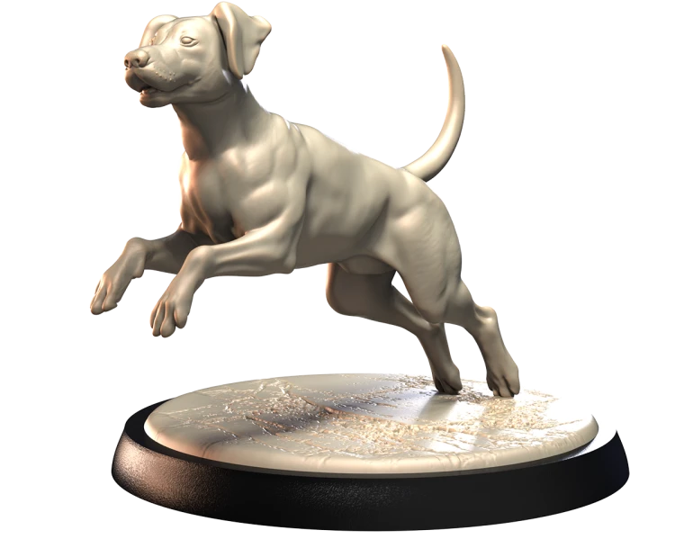 DALMATIAN.png