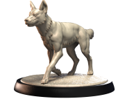 DINGO.png