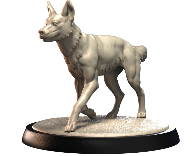 DINGO.png