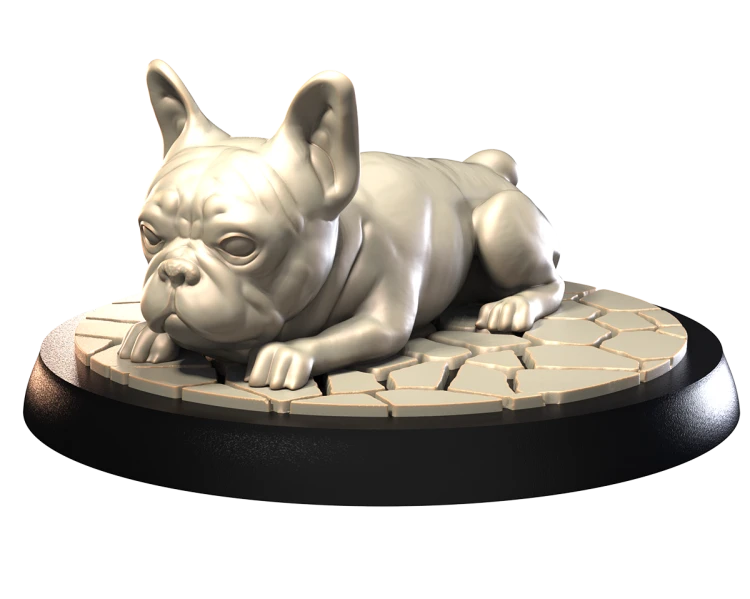 FRENCH BULL DOG.png