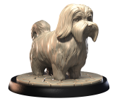 HAVANESE.png