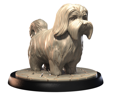 HAVANESE.png