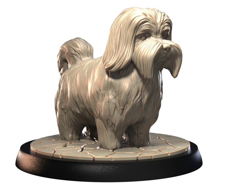 HAVANESE.png