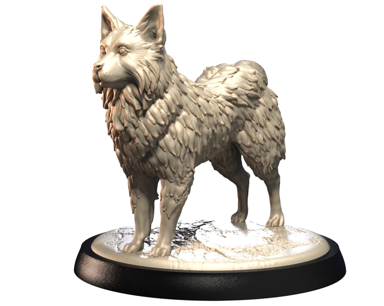 ICELANDIC SHEEPDOG.png