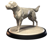 LABRADOR.png