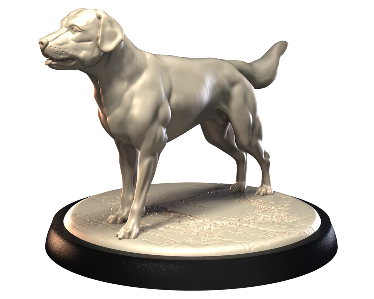 LABRADOR.png